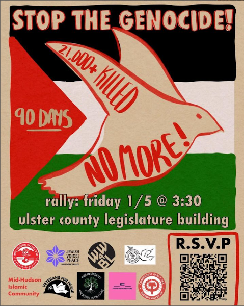 Graphic flyer "Stop the Genocide" "90 days" "21,000+ Killed" "No More!" "rally: friday 1/5@3:30 Ulster County Legislature building"