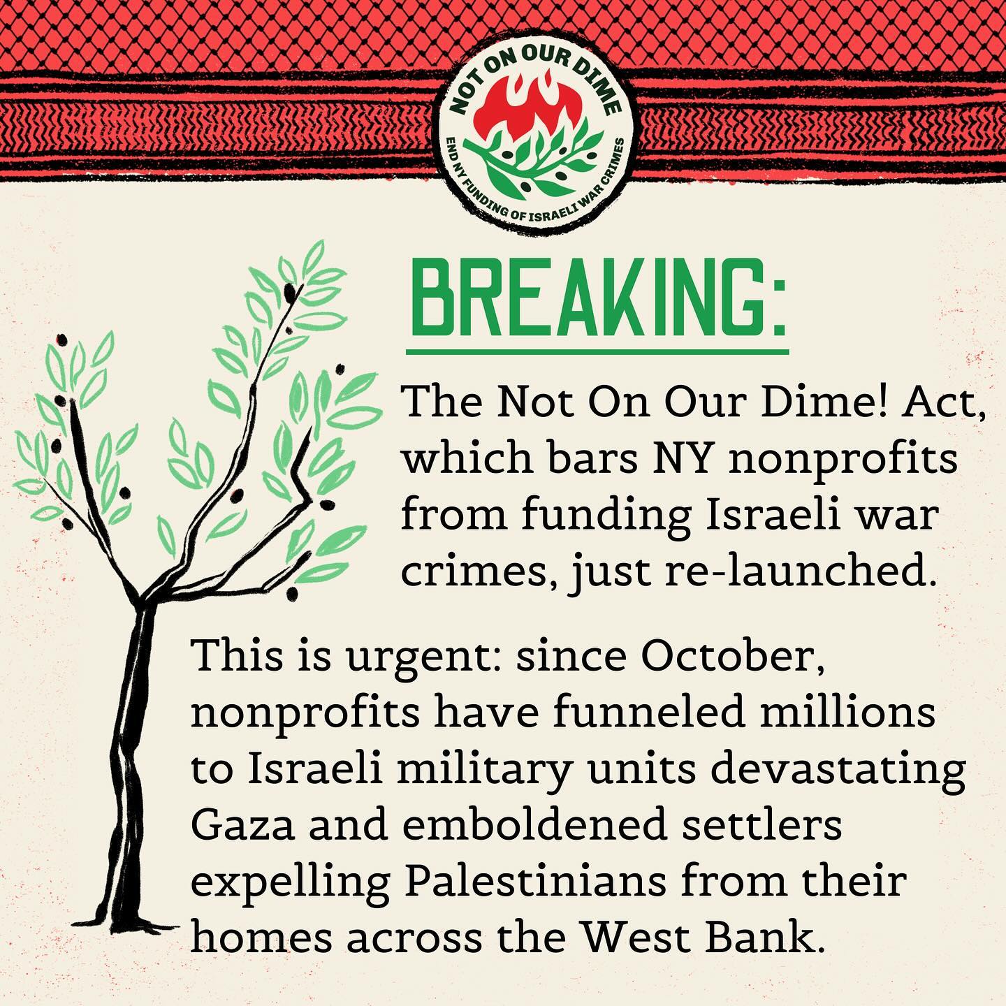 BREAKING: The Not On Our Dime! Act, which bars New York nonprofits from funding Israeli war crimes, was just re-introduced. This is urgent: since October, nonprofits have funneled millions to Israeli military units devastating Gaza and emboldened settlers expelling Palestinians from their homes across the West Bank.